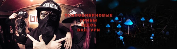 каннабис Белокуриха